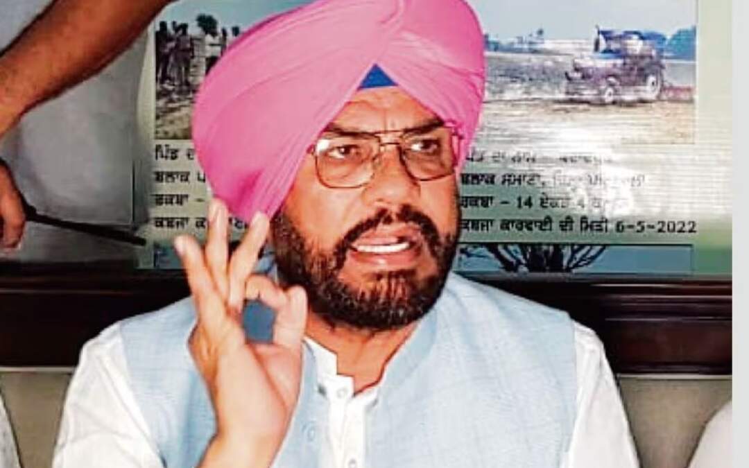 ਪੰਜਾਬ ਸਰਕਾਰ ਵਿਦੇਸ਼ਾਂ ਵਿੱਚ ਫਸੇ ਪੰਜਾਬੀਆਂ ਦੀ ਘਰ ਵਾਪਸੀ ਲਈ ਹਰ ਸੰਭਵ ਮਦਦ ਕਰੇਗੀ: ਕੁਲਦੀਪ ਸਿੰਘ ਧਾਲੀਵਾਲ