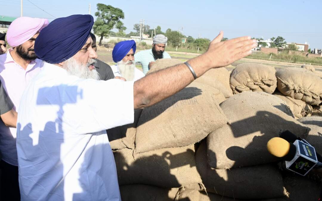 ਸ਼ੈਲਰ ਮਾਲਕਾਂ ਦੀ ਚਲ ਰਹੀ ਹੜਤਾਲ ਕਾਰਨ ਕਿਸਾਨਾਂ ਤੇ ਆੜ੍ਹੀਆਂ ਨੂੰ ਦਰਪੇਸ਼ ਮੁਸ਼ਕਿਲਾਂ ਲਈ ਮੁੱਖ ਮੰਤਰੀ ਸਿੱਧੇ ਤੌਰ ’ਤੇ ਜ਼ਿੰਮੇਵਾਰ: ਸੁਖਬੀਰ ਸਿੰਘ ਬਾਦਲ