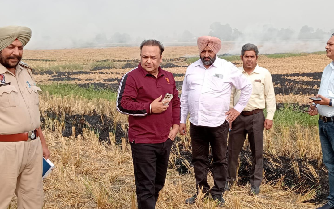 ਪੰਜਾਬ ਸਰਕਾਰ ਝੋਨੇ ਦੀ ਪਰਾਲੀ ਨੂੰ ਅੱਗ ਲਗਾਉਣ ਦੇ ਮਾਮਲਿਆਂ ਨੂੰ ਰੋਕਣ ਲਈ ਆਪਣੇ ਪੱਧਰ ‘ਤੇ ਪੂਰੀ ਤਰ੍ਹਾਂ ਯਤਨਸ਼ੀਲ