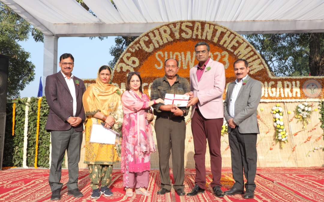 3 ਰੋਜ਼ਾ ਸੁੰਦਰਤਾ ਨਾਲ ਪ੍ਰਬੰਧਿਤ ਜ਼ੀਰੋ ਵੇਸਟ ਕ੍ਰਿਸੈਂਥਮਮ ਸ਼ੋਅ ਮੈਗਾ ਸੱਭਿਆਚਾਰਕ ਸ਼ਾਮ ਦੇ ਨਾਲ ਸਮਾਪਤ ਹੋਇਆ