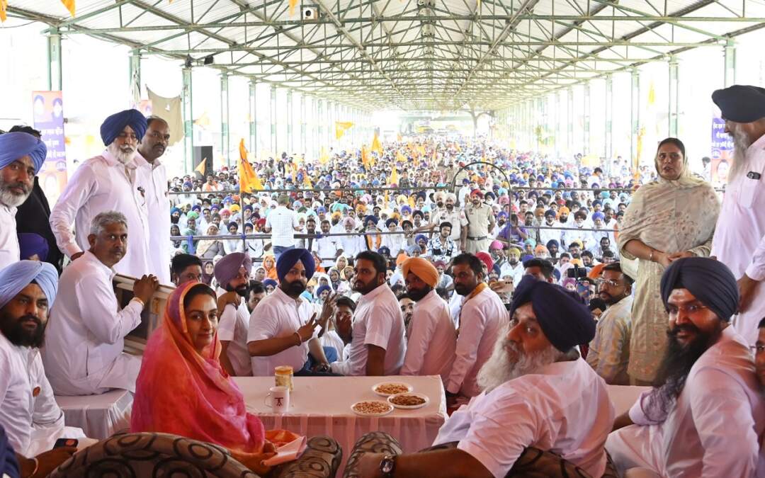 ਅਕਾਲੀ ਦਲ ਦੀ ਸਰਕਾਰ ਬਣੀ ਤਾਂ ਨਸ਼ਾ ਤਸਕਰਾਂ ਤੇ ਗੈਂਗਸਟਰਾਂ ਨੂੰ ਫਾਂਸੀ ਦੀ ਸਜ਼ਾ ਦੇਣ ਲਈ ਕਾਨੂੰਨ ਬਣਾਵਾਂਗੇ: