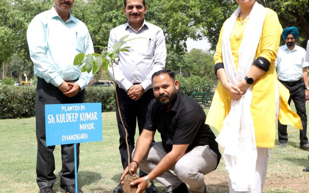 ਵਿਸ਼ਵ ਵਾਤਾਵਰਨ ਦਿਵਸ ‘ਤੇ ਨਗਰ ਨਿਗਮ ਨੇ ਨਿਵੇਕਲੀ ਪਹਿਲਕਦਮੀ ਕੀਤੀ