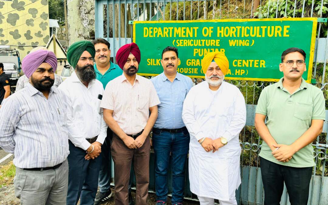 15 ਸਾਲਾਂ ਤੋਂ ਬੰਦ ਪਿਆ ਡਲਹੌਜ਼ੀ ਸਥਿਤ ਪੰਜਾਬ ਦਾ ਇੱਕੋ-ਇੱਕ ਸਰਕਾਰੀ ਰੇਸ਼ਮ ਬੀਜ ਉਤਪਾਦਨ ਸੈਂਟਰ ਮਾਨ ਸਰਕਾਰ ਵੱਲੋਂ ਮੁੜ ਸ਼ੁਰੂ