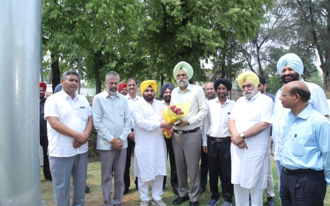 ਪੀ.ਐਸ.ਪੀ.ਸੀ.ਐਲ ਵੱਲੋਂ ਵਿਲੱਖਣ ਪਹਿਲਕਦਮੀ; 35 ਕਿਲੋਵਾਟ ਸਮਰੱਥਾ ਦੇ ਸੱਤ ਸੋਲਰ ਰੁੱਖ ਲਗਾਏ