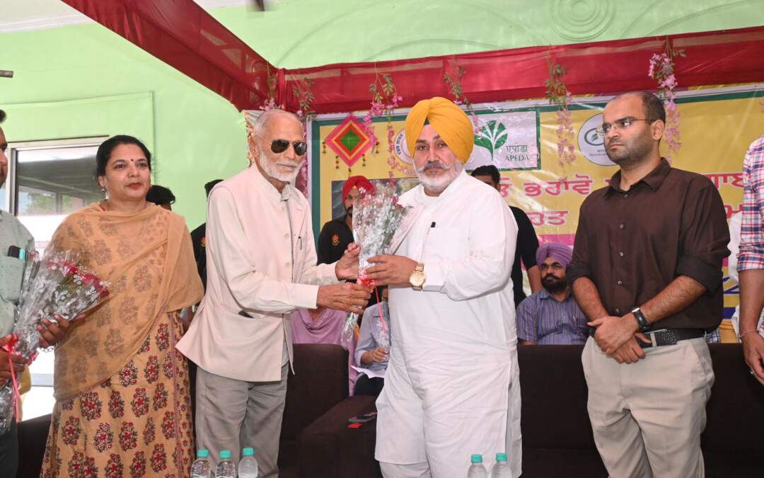 ਮਾਨ ਸਰਕਾਰ ਕਿਸਾਨਾਂ ਦੀ ਆਮਦਨ ਵਧਾਉਣ ਲਈ ਪਠਾਨਕੋਟ ਦੀ ਲੀਚੀ ਨੂੰ ਵਿਦੇਸ਼ਾਂ ਵਿੱਚ ਭੇਜਣ ਦੀ ਕਰੇਗੀ ਸ਼ੁਰੂਆਤ: ਚੇਤਨ ਸਿੰਘ ਜੌੜਾਮਾਜਰਾ ਵੱਲੋਂ ਐਲਾਨ