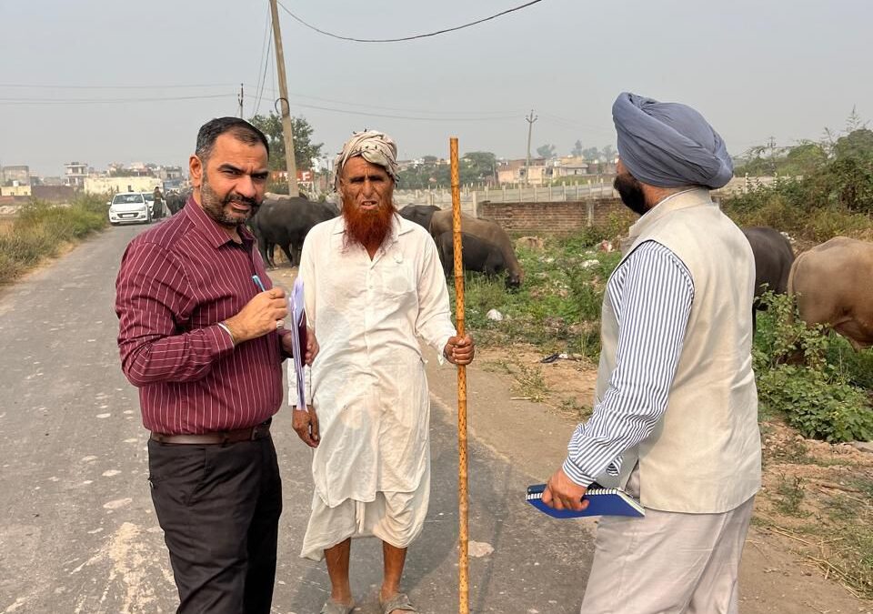 ਮੂੰਹ-ਖੁਰ ਦੀ ਬਿਮਾਰੀ ਤੋਂ ਬਚਾਅ ਲਈ 18 ਦਿਨਾਂ ਦੇ ਅੰਦਰ 48 ਫ਼ੀਸਦੀ ਤੋਂ ਵੱਧ ਪਸ਼ੂਆਂ ਦਾ ਟੀਕਾਕਰਨ ਕੀਤਾ: ਗੁਰਮੀਤ ਸਿੰਘ ਖੁੱਡੀਆਂ