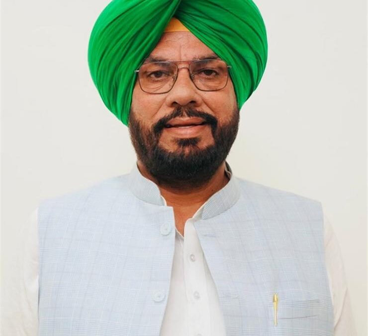 ਸਿੱਖਿਆ ਕ੍ਰਾਂਤੀ ਅਧੀਨ ਸਕੂਲਾਂ ਵਿੱਚ ਹੋਏ ਕੰਮਾਂ ਉੱਤੇ ਟਿੱਪਣੀਆਂ ਕਰਨੀਆਂ ਆਮ ਲੋਕਾਂ ਦਾ ਮਜ਼ਾਕ ਉਡਾਉਣ ਵਾਲੀ ਗੱਲ -ਧਾਲੀਵਾਲ