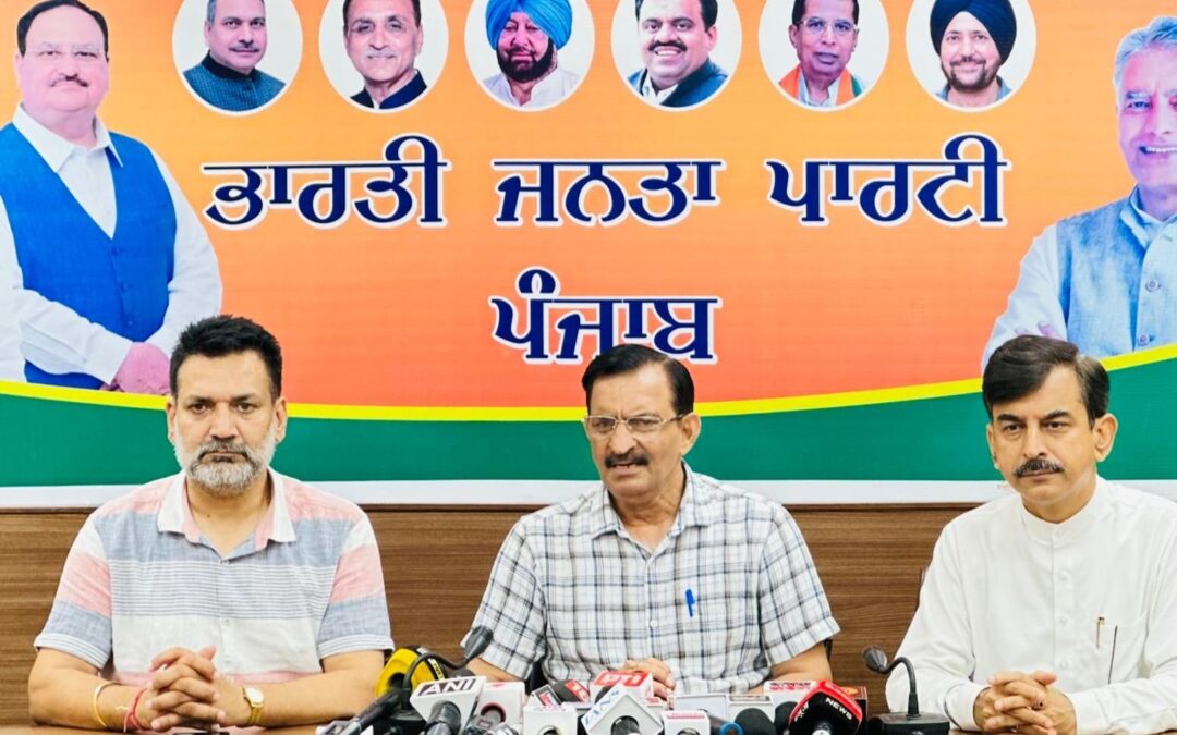 ਪੰਜਾਬ ਦੇ ਵੱਡੇ ਅਹੁਦਿਆਂ ਤੇ ਬਾਹਰੀ ਨਿਯੁਕਤੀਆਂ ਕਰਕੇ “ਆਪ” ਪਾਰਟੀ ਨੇ ਪੰਜਾਬੀਆਂ ਨਾਲ ਕੀਤਾ ਵੱਡਾ ਧੋਖਾ: ਅਨੀਲ ਸਰੀਨ