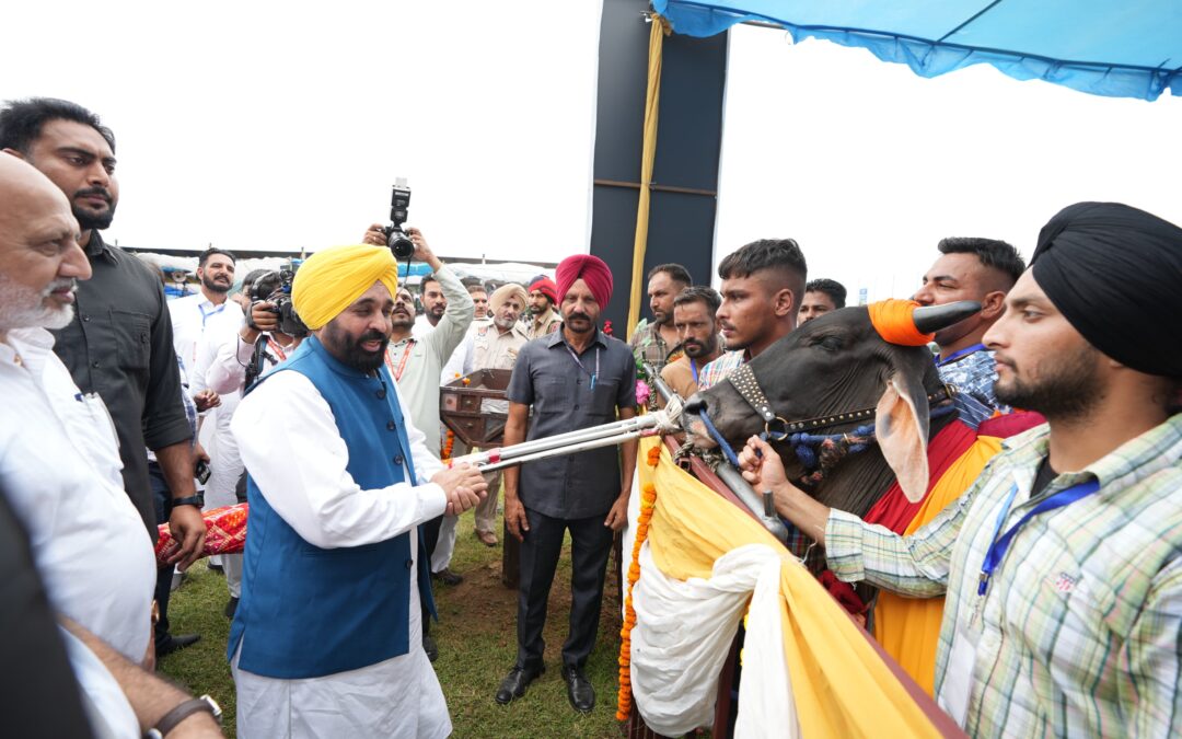 ਪੰਜਾਬ ਵਿੱਚ ਬਲਦਾਂ ਦੀਆਂ ਦੌੜਾਂ ਸ਼ੁਰੂ ਕਰਨ ਲਈ ਕਾਨੂੰਨ ਪਾਸ ਕਰਨ ’ਤੇ ਮੁੱਖ ਮੰਤਰੀ ਮਾਨ ਦਾ ਸਨਮਾਨ
