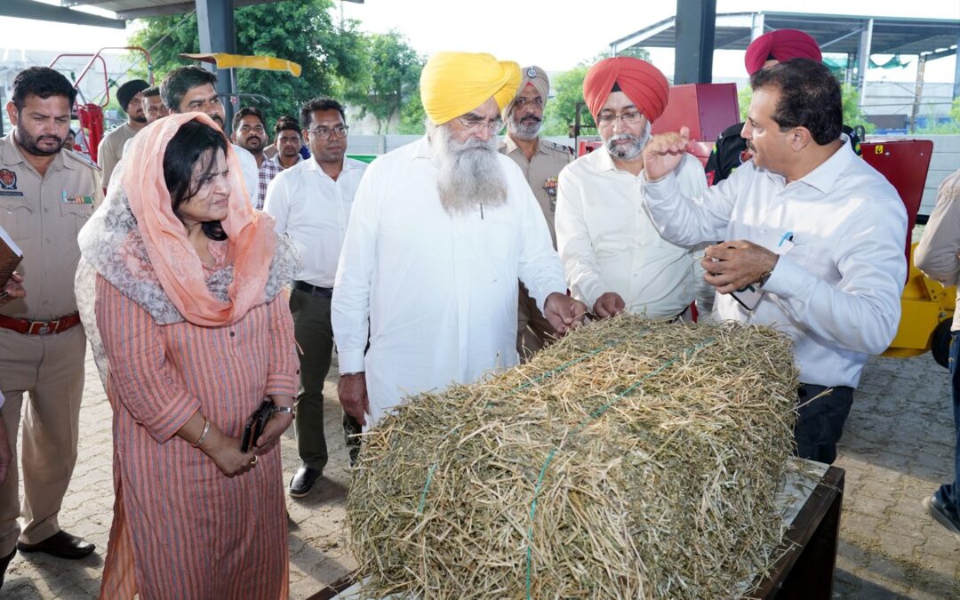 ਗੁਰਮੀਤ ਸਿੰਘ ਖੁੱਡੀਆਂ ਵੱਲੋਂ ਮੈਗਾ ਫੂਡ ਪਾਰਕ ਦਾ ਨਿਰੀਖਣ; ਅਧਿਕਾਰੀਆਂ ਨੂੰ ਖੇਤੀਬਾੜੀ ਵਿਕਾਸ ‘ਤੇ ਧਿਆਨ ਕੇਂਦਰਿਤ ਕਰਨ ਦੇ ਨਿਰਦੇਸ਼