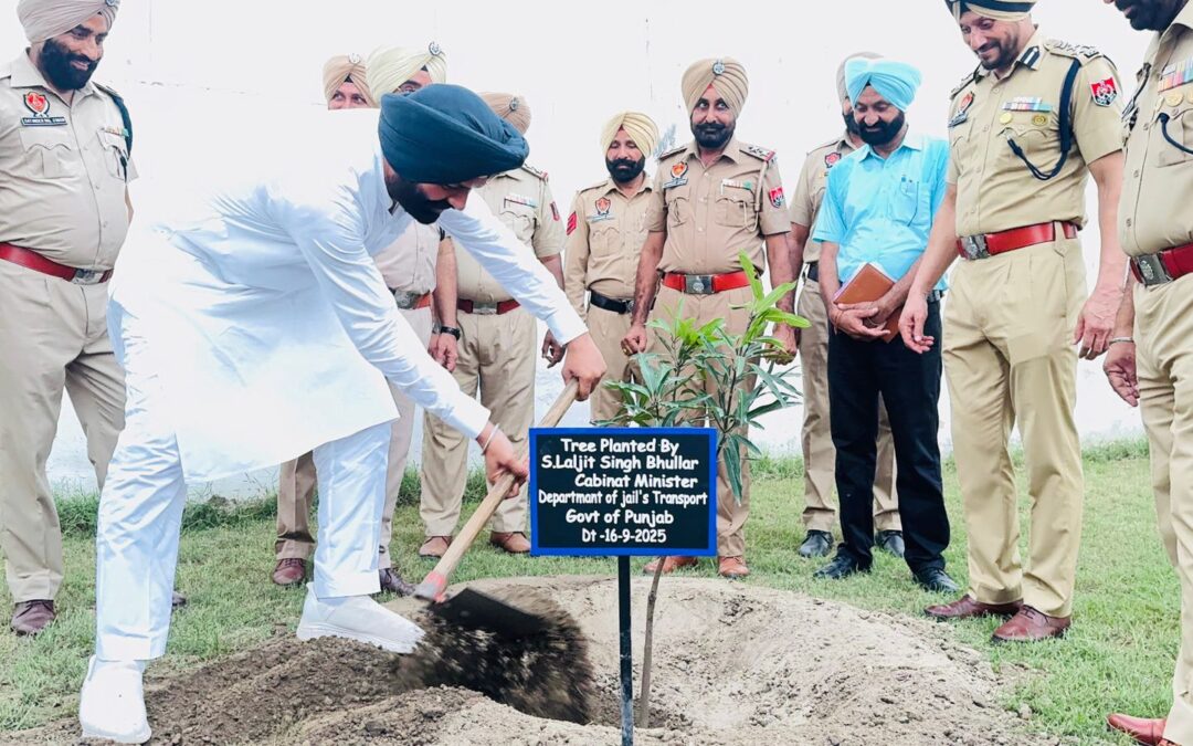 ਲਾਲਜੀਤ ਸਿੰਘ ਭੁੱਲਰ ਵੱਲੋਂ ਕੈਦੀਆਂ ਨੂੰ ਹੁਨਰ ਸਿਖਲਾਈ ਦੇਣ ਲਈ 11 ਜੇਲ੍ਹਾਂ ਵਿੱਚ ਆਈਟੀਆਈਜ਼ ਦਾ ਉਦਘਾਟਨ