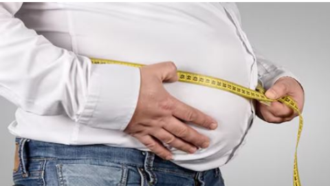 ਚੰਡੀਗੜ੍ਹ ਵਿੱਚ ਮੋਟਾਪੇ ਦੀ ਰੋਕਥਾਮ, ਡਿਜੀਟਲ ਸਿਹਤ ਮੁਹਿੰਮ ਅਤੇ ਸਮੁਦਾਇਕ ਸ਼ਮੂਲੀਅਤ ‘ਤੇ ਵਿਸ਼ੇਸ਼ ਫੋਕਸ