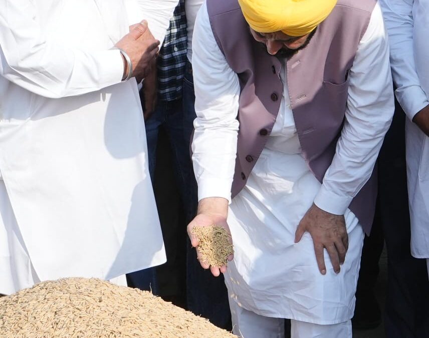 ਸੂਬੇ ਵਿੱਚ ਹੁਣ ਤੱਕ 61.01 ਲੱਖ ਮੀਟ੍ਰਿਕ ਟਨ ਝੋਨਾ ਖਰੀਦਿਆ, ਕਿਸਾਨਾਂ ਨੂੰ 13073 ਕਰੋੜ ਰੁਪਏ ਦੀ ਅਦਾਇਗੀ-ਮੁੱਖ ਮੰਤਰੀ