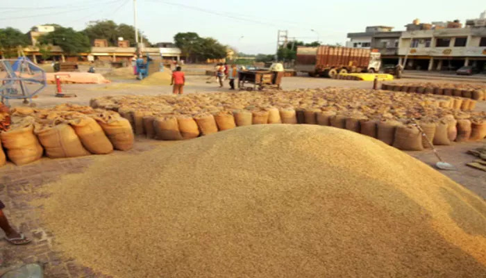 150 ਲੱਖ ਮੀਟਰਿਕ ਟਨ ਦੇ ਨੇੜੇ ਪੁੱਜੀ ਝੋਨੇ ਦੀ ਆਮਦ; 144 ਲੱਖ ਮੀਟਰਿਕ ਟਨ ਦਾ ਅੰਕੜਾ ਪਾਰ ਕੀਤਾ  140 ਲੱਖ ਮੀਟਰਿਕ ਟਨ ਤੋਂ ਵੱਧ ਝੋਨੇ ਦੀ ਖਰੀਦ