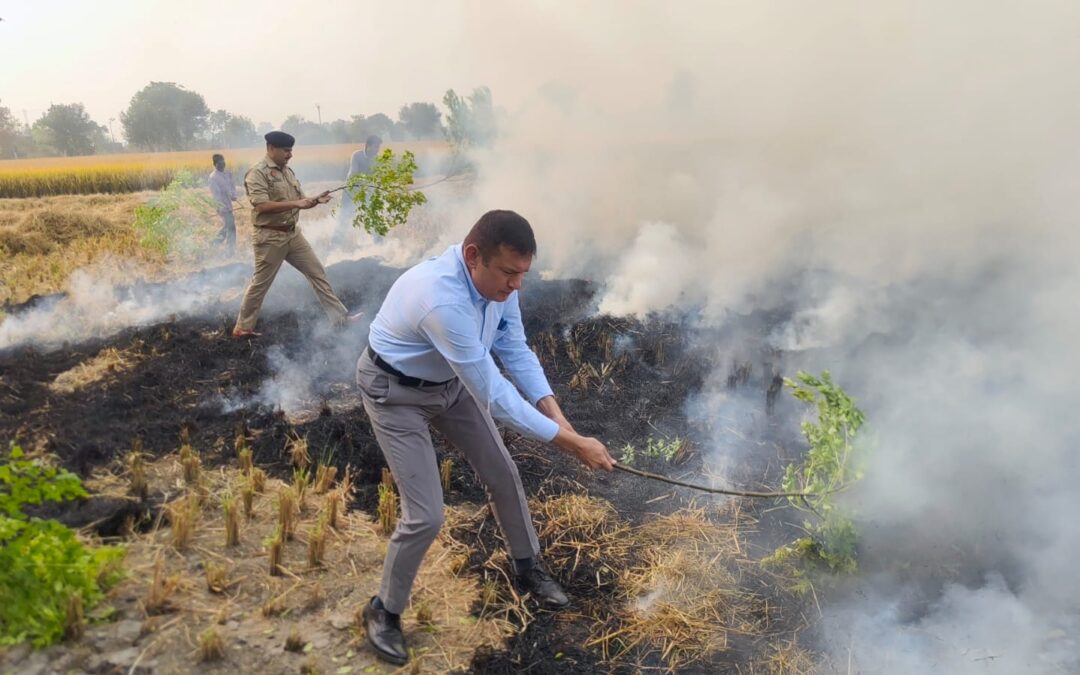 ਜਦੋਂ ਸੰਗਰੂਰ ਦੇ ਡਿਪਟੀ ਕਮਿਸ਼ਨਰ ਅਤੇ ਐੱਸ ਐੱਸ ਪੀ ਪਰਾਲੀ ਦੀ ਅੱਗ ਬੁਝਾਉਣ ਲਈ ਖੇਤਾਂ ਵਿਚ ਖੁਦ ਪਹੁੰਚੇ