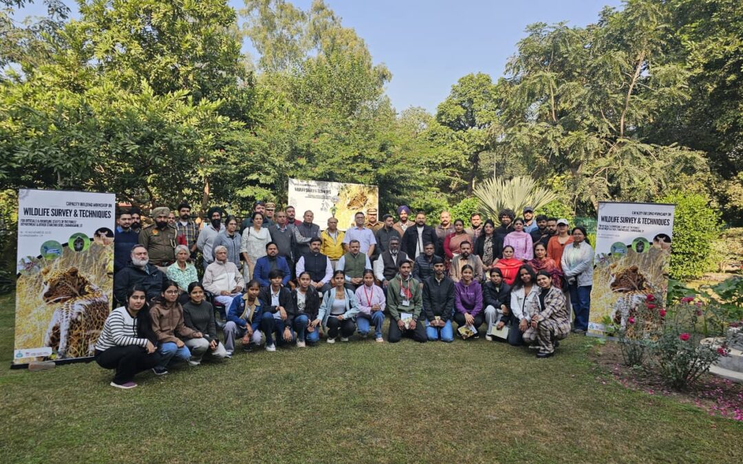 ਯੂਟੀ ਚੰਡੀਗੜ੍ਹ ਅਤੇ ਬੋਟੈਨੀਕਲ ਗਾਰਡਨ, ਸੁਖਨਾ ਚੋਅ ਰਿਜ਼ਰਵ ਫੋਰੈਸਟ ਅਤੇ ਝੀਲ ਦੇ ਜੰਗਲ ਆਦਿ ਸਮੇਤ ਵੱਖ-ਵੱਖ ਜੰਗਲੀ ਖੇਤਰਾਂ ਵਿੱਚ ਜੰਗਲੀ ਜੀਵ ਸਰਵੇਖਣ ਕਰ ਰਿਹਾ ਹੈ।