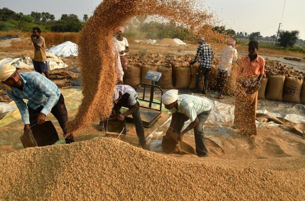 ਝੋਨੇ ਦੀ ਆਮਦ ਅਤੇ ਖਰੀਦ ਪੱਖੋਂ ਸੰਗਰੂਰ ਜ਼ਿਲ੍ਹਾ ਮੋਹਰੀ