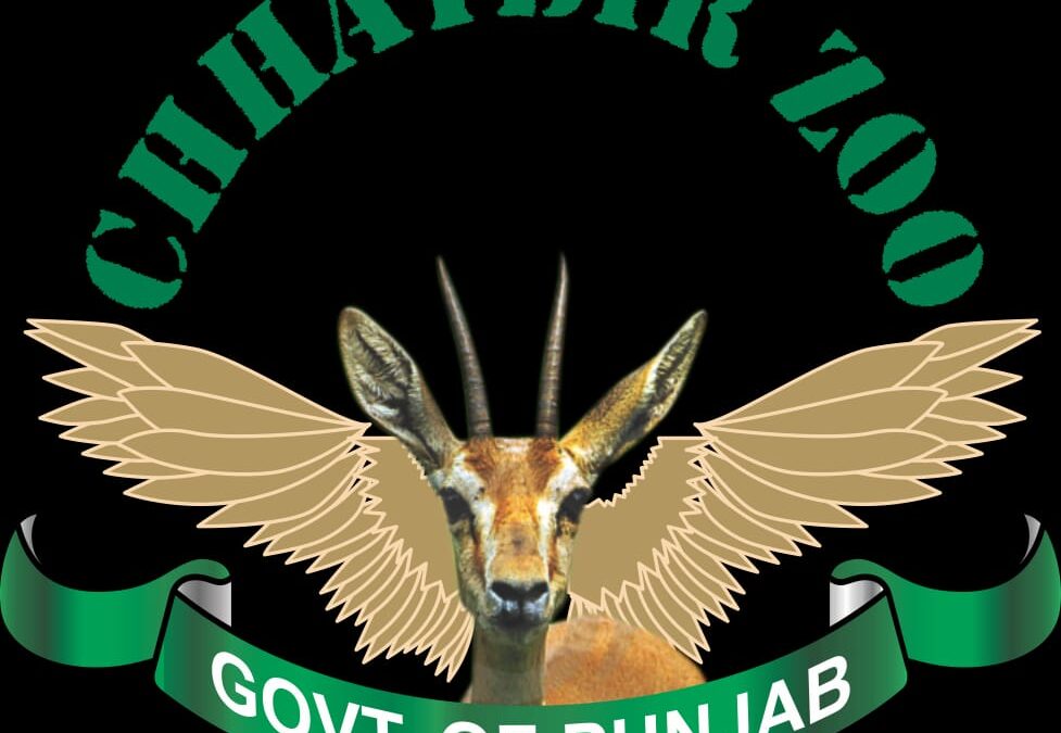 ਜੰਗਲਾਤ ਅਤੇ ਜੰਗਲੀ ਜੀਵ ਸੁਰੱਖਿਆ ਵਿਭਾਗ ਵੱਲੋਂ ਸਰਦੀਆਂ ਦੌਰਾਨ ਛੱਤਬੀੜ ਚਿੜੀਆਘਰ ਵਿੱਚ ਜਾਨਵਰਾਂ ਦੀਆਂ ਖੁਰਾਕ ਸਬੰਧੀ ਜ਼ਰੂਰਤਾਂ ਵੱਲ ਦਿੱਤਾ ਜਾ ਰਿਹੈ ਵਿਸ਼ੇਸ਼ ਧਿਆਨ