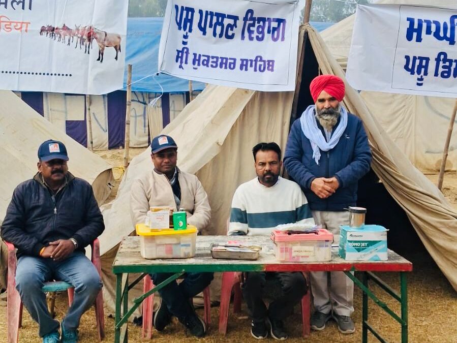 ਮਾਘੀ ਮੇਲਾ: ਸ੍ਰੀ ਮੁਕਤਸਰ ਸਾਹਿਬ ਵਿਖੇ ਪਸ਼ੂ ਪ੍ਰੇਮੀਆਂ ਦੇ ਇਕੱਠੇ ਹੋਣ ਨਾਲ ‘ਘੋੜਾ ਮੰਡੀ’ ‘ਤੇ ਗੂੰਜ ਉੱਠੀ