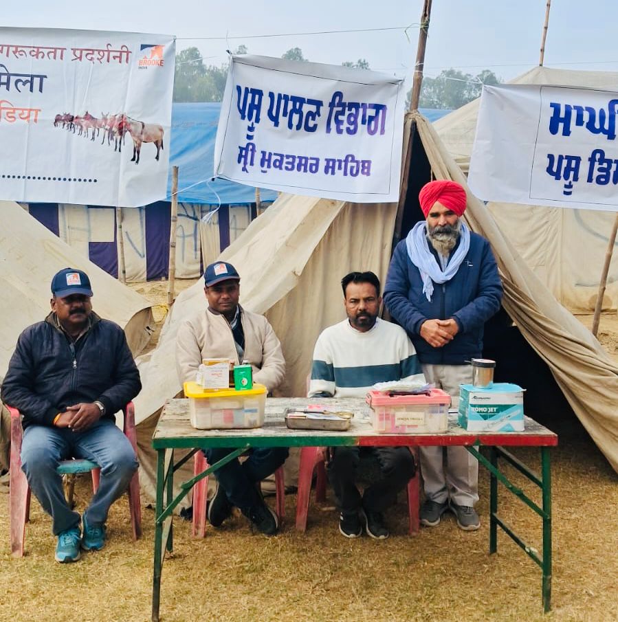 GHORA MANDI’