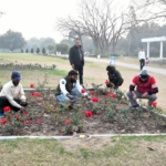 ਐਮਸੀ ਚੰਡੀਗੜ੍ਹ ਨੇ 54ਵੇਂ ਰੋਜ਼ ਫੈਸਟੀਵਲ ਵਿੱਚ ਸੱਭਿਆਚਾਰਕ ਪ੍ਰਦਰਸ਼ਨਾਂ ਲਈ ਭਾਗੀਦਾਰਾਂ ਨੂੰ ਸ਼ਾਰਟਲਿਸਟ ਕੀਤਾ