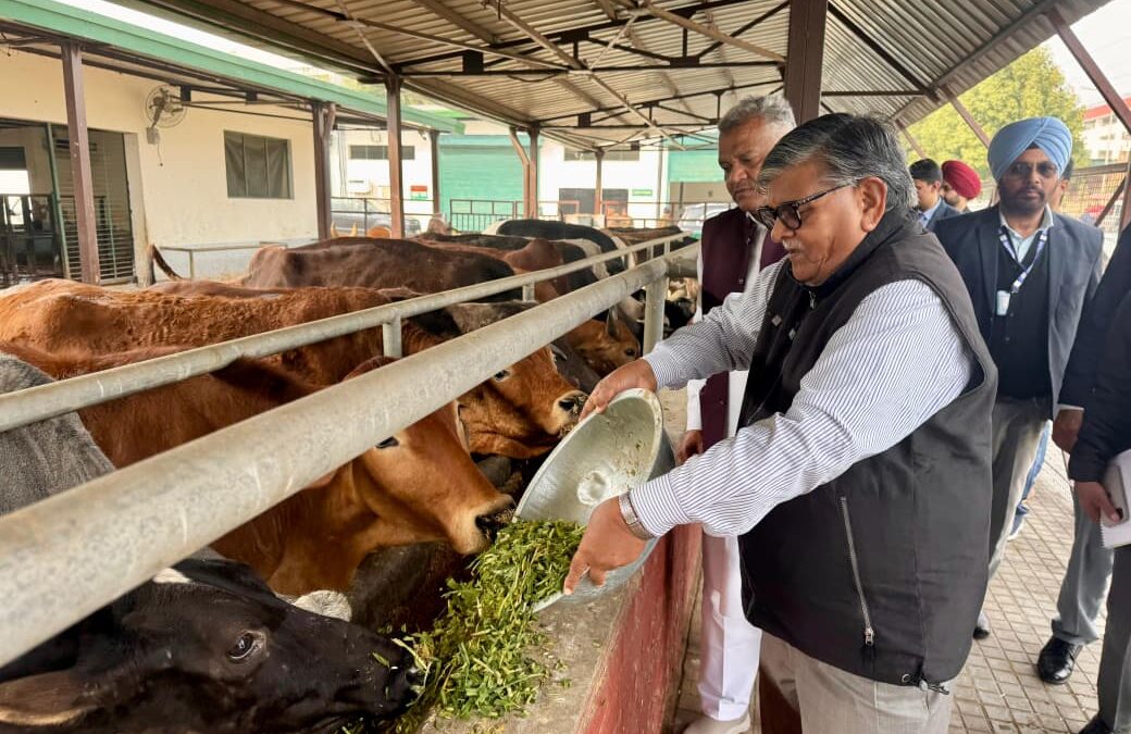 ਰਾਜਪਾਲ ਕਟਾਰੀਆ ਨੇ ਚੰਡੀਗੜ੍ਹ ਭਰ ਵਿੱਚ ਅਚਨਚੇਤ ਨਿਰੀਖਣ ਕੀਤਾ, ਸਫਾਈ, ਸਿਹਤ ਸੰਭਾਲ ਅਤੇ ਲੋਕ ਭਲਾਈ ਬਾਰੇ ਸਖ਼ਤ ਨਿਰਦੇਸ਼ ਜਾਰੀ ਕੀਤੇ