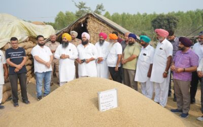 ਕਿਸਾਨਾਂ ਦੀ ਫ਼ਸਲ ਦਾ ਇੱਕ-ਇੱਕ ਦਾਣਾ ਖਰੀਦਣ ਲਈ ਮਾਨ ਸਰਕਾਰ ਵਚਨਬੱਧ: ਡਿਪਟੀ ਸਪੀਕਰ ਰੌੜੀ